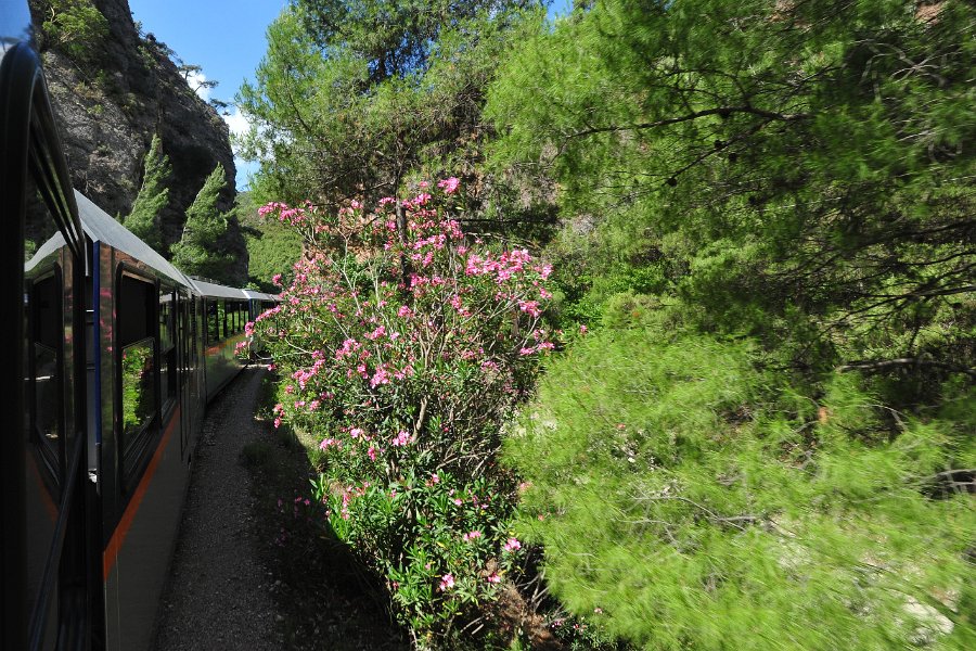 2014.06.18 Zahnradbahn in Griechenland Diakopto–Kalavryta (51)